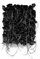 Black Flowers MH17